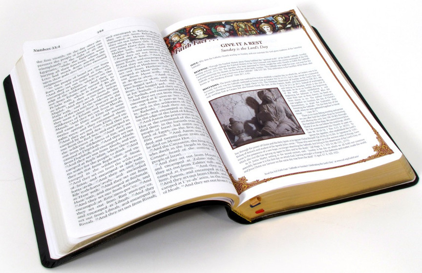 Large print catholic scripture study bible rsv catholic edition 