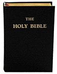 douay-rheims-bibles.jpg