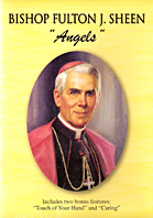 Bishop Sheen On Angels DVD Video - Three 22 min Programs.