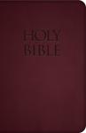 Catholic New American Bible Revised Edition - NABRE - Burgundy Premium UltraSoft