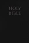 Catholic New American Bible Revised Edition - NABRE - Premium UltraSoft Cover 