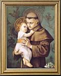 St. Anthony of Padua Gold Framed Print 13 x 15.5