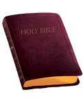 New American Bible - Revised Edition - Burgundy Durahyde with Gilded Edges