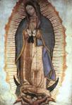 Our Lady of Guadalupe Canvas Print 39 3/4 Inches x 65 Inches